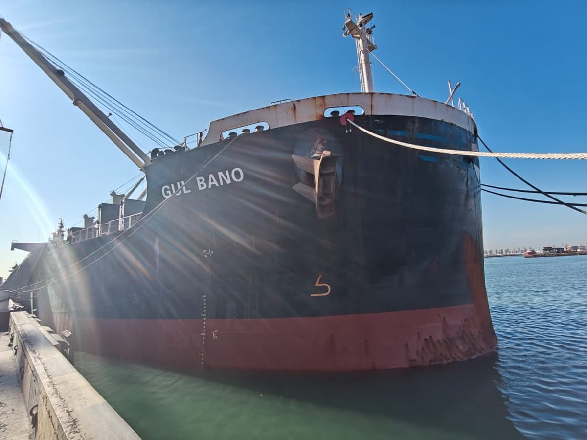 MV Gul Bano in operation